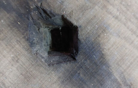 Porta maciza castaño vello